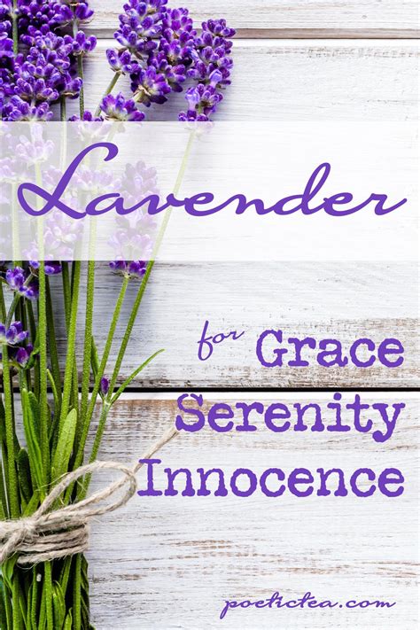 Magical Lavender Potions: Recipes for Love, Healing, and Prosperity